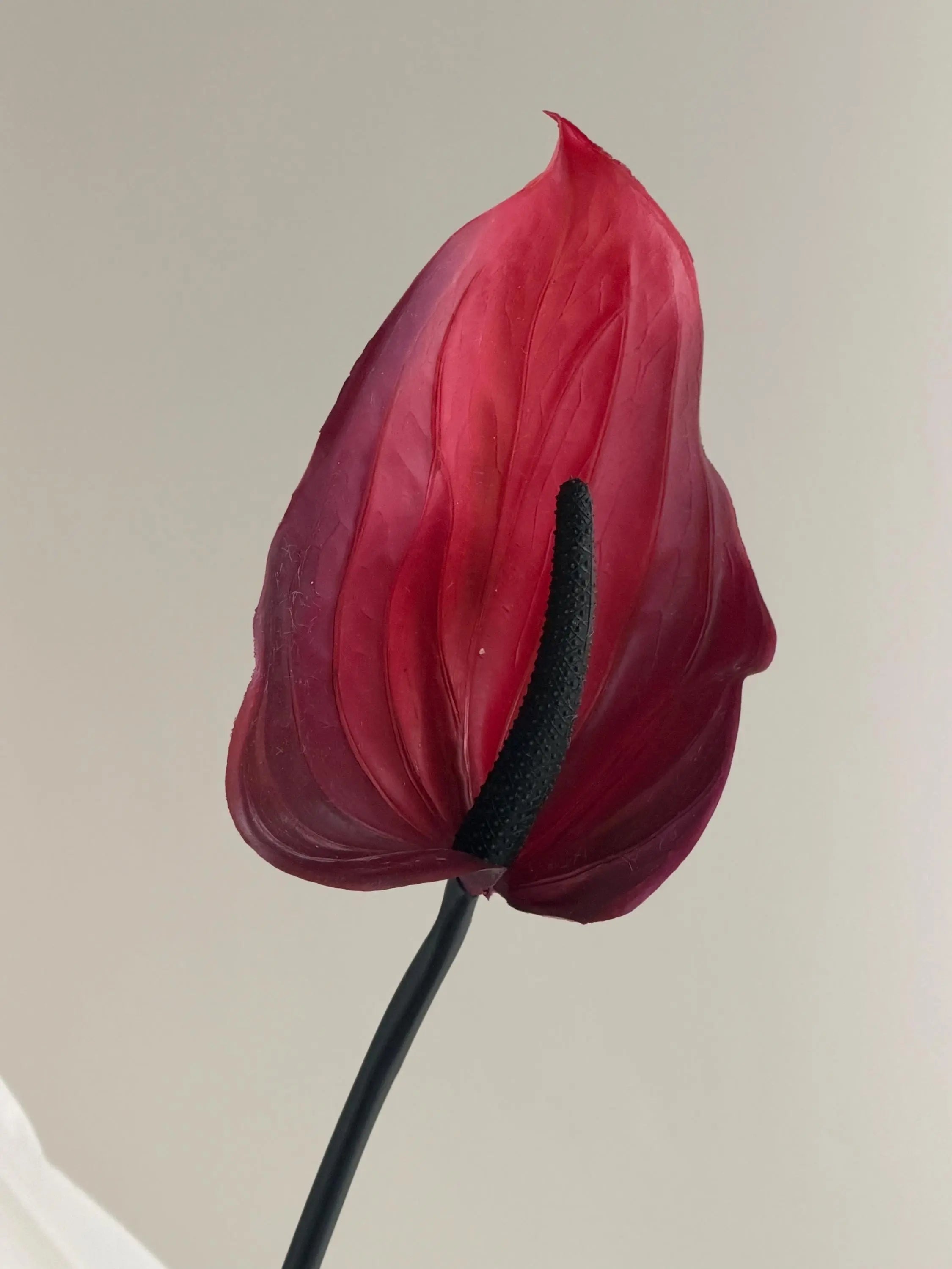 Artificial Anthurium Stems Faux Flower Place
