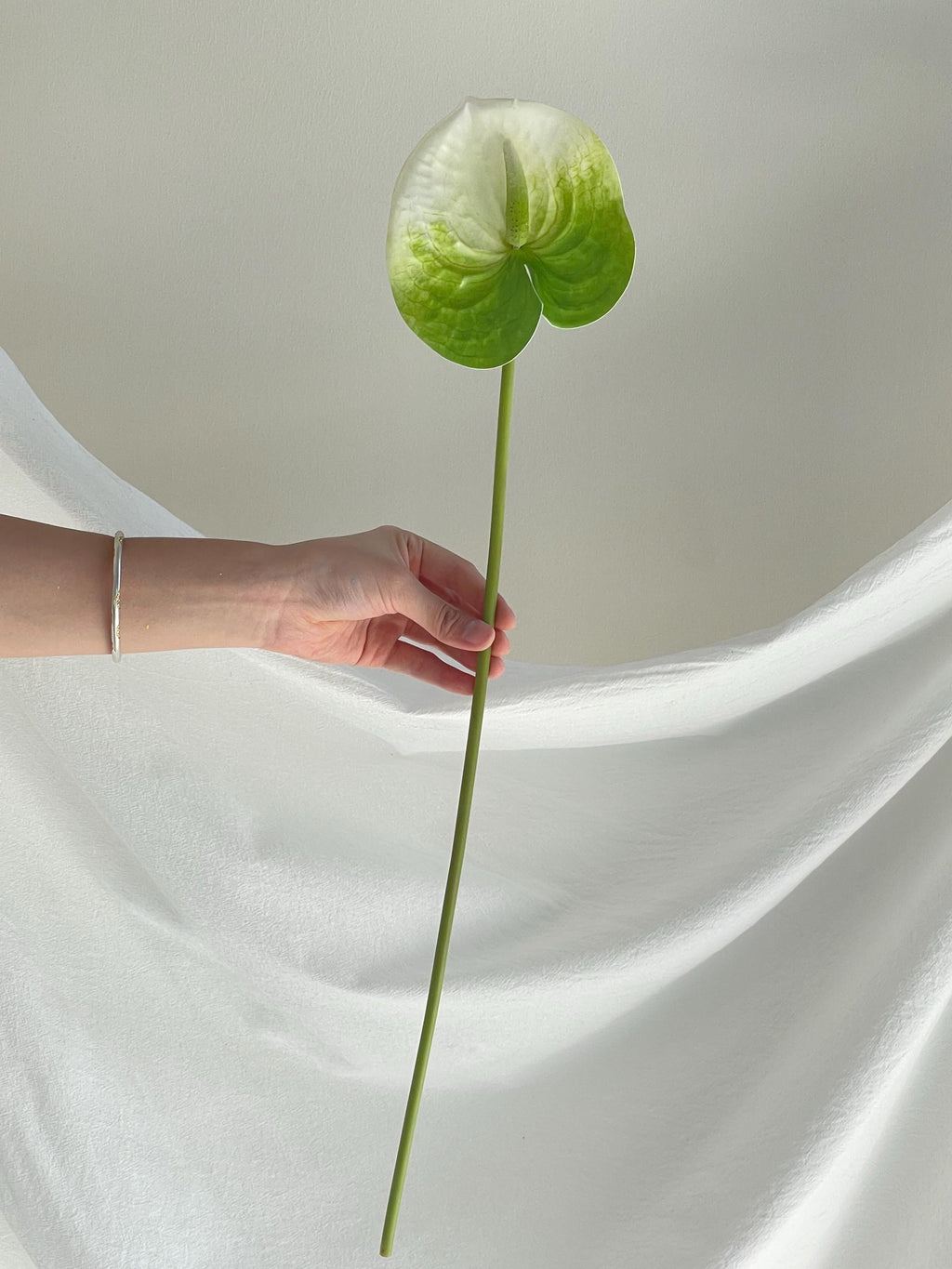 Artificial Anthurium Stems