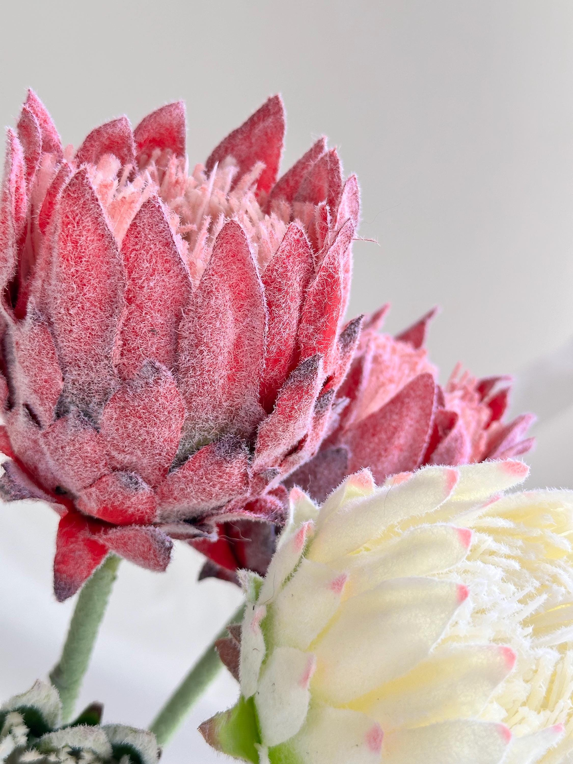 Artificial Green Protea Stem