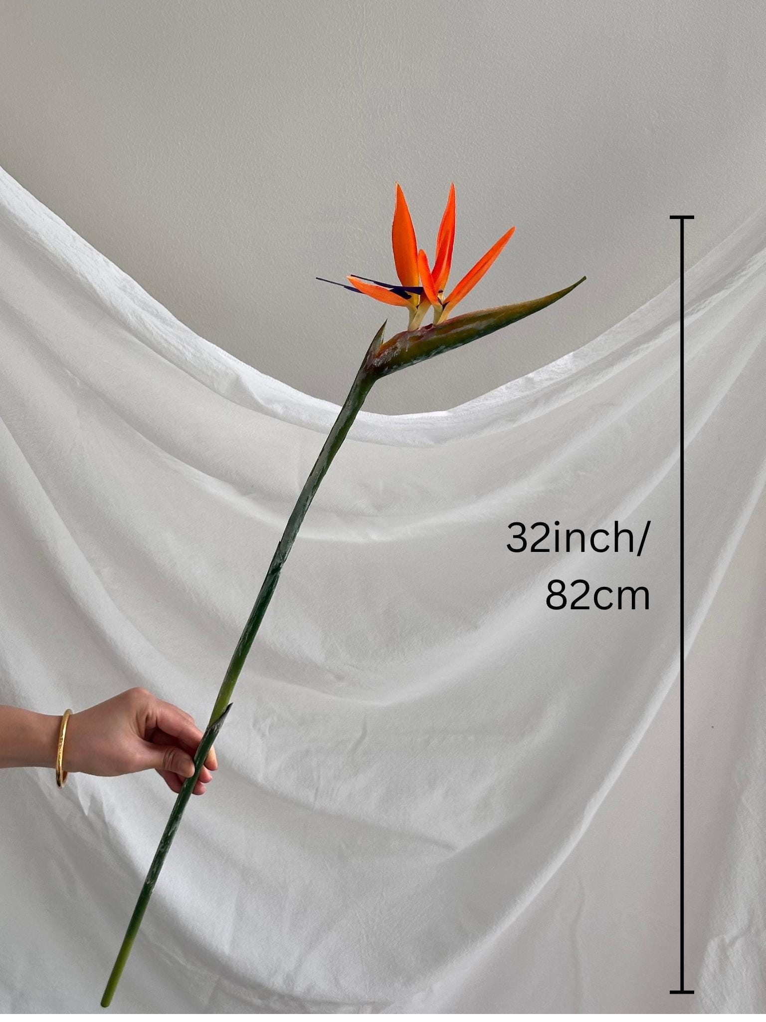 Artificial Bird of Paradise Stem