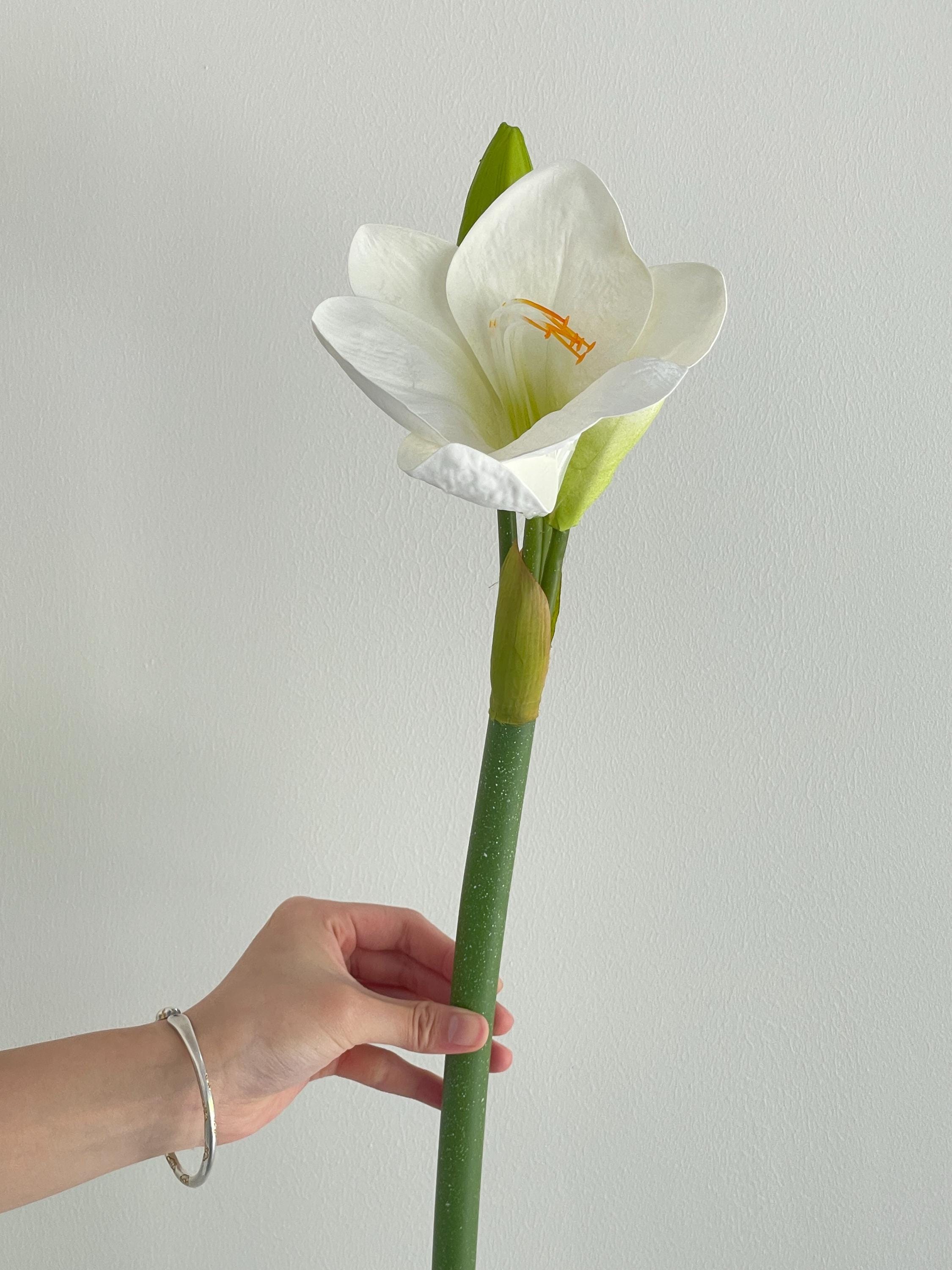 Artificial Clivia Miniata Bush Lily