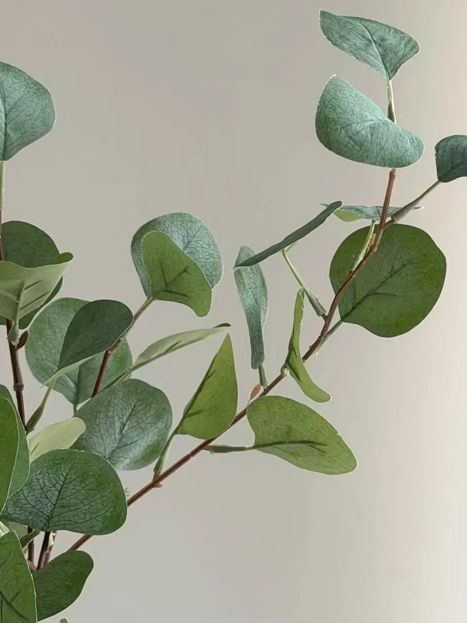 Real touch eucalyptus Branch Celesta Atelier