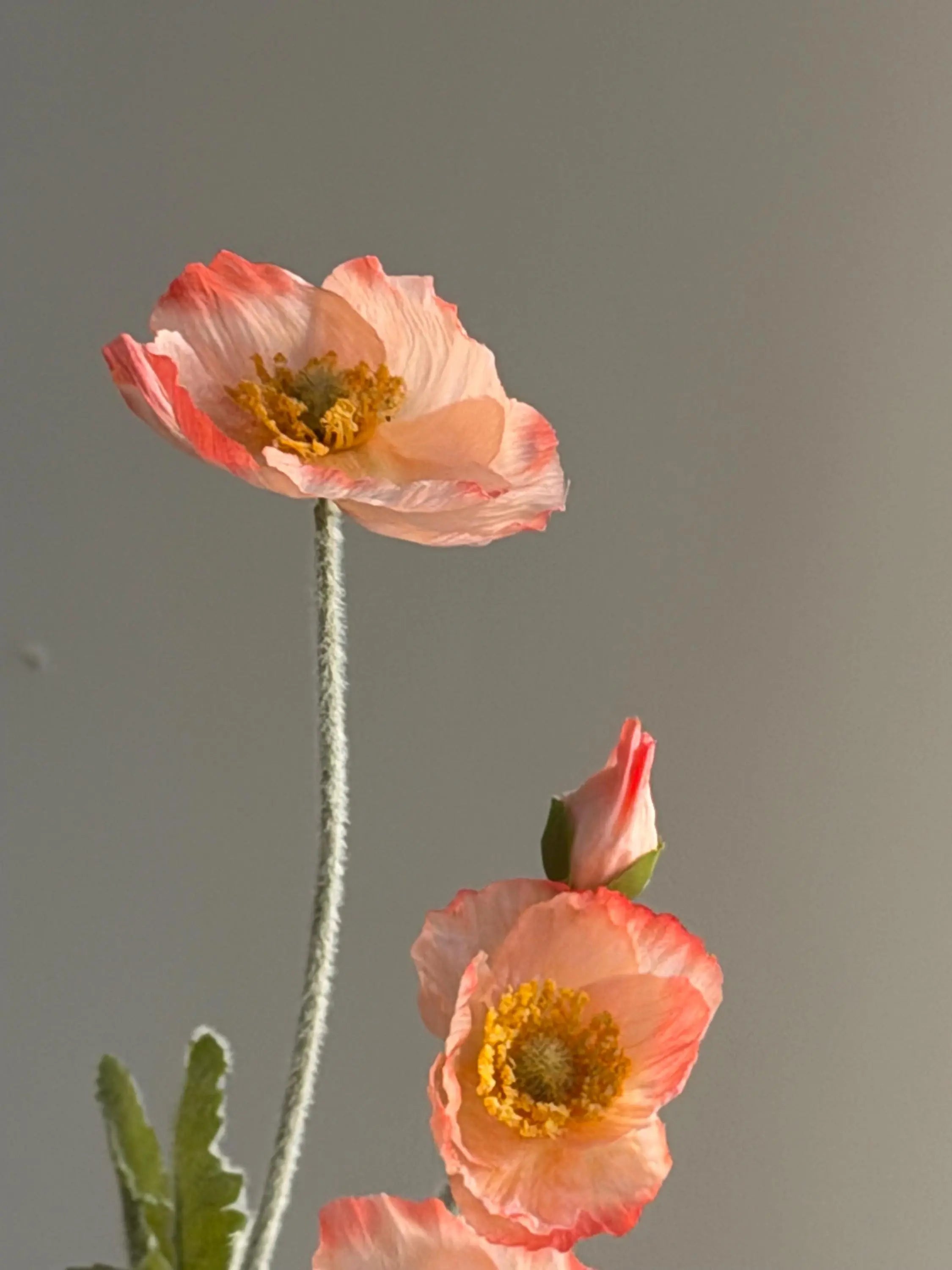 Artificial Iceland Poppy Celesta Atelier