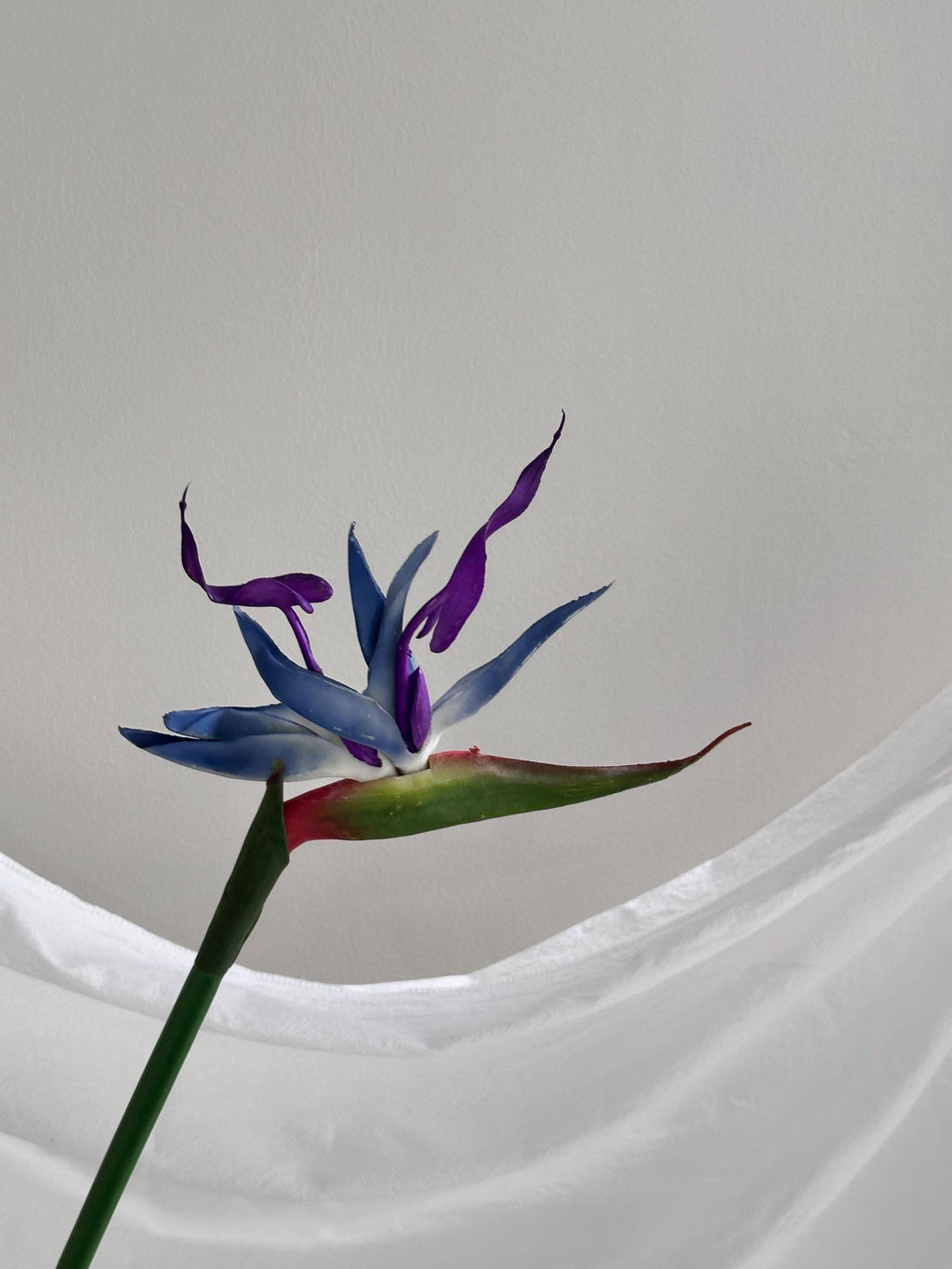 Artificial Bird of Paradise Stem
