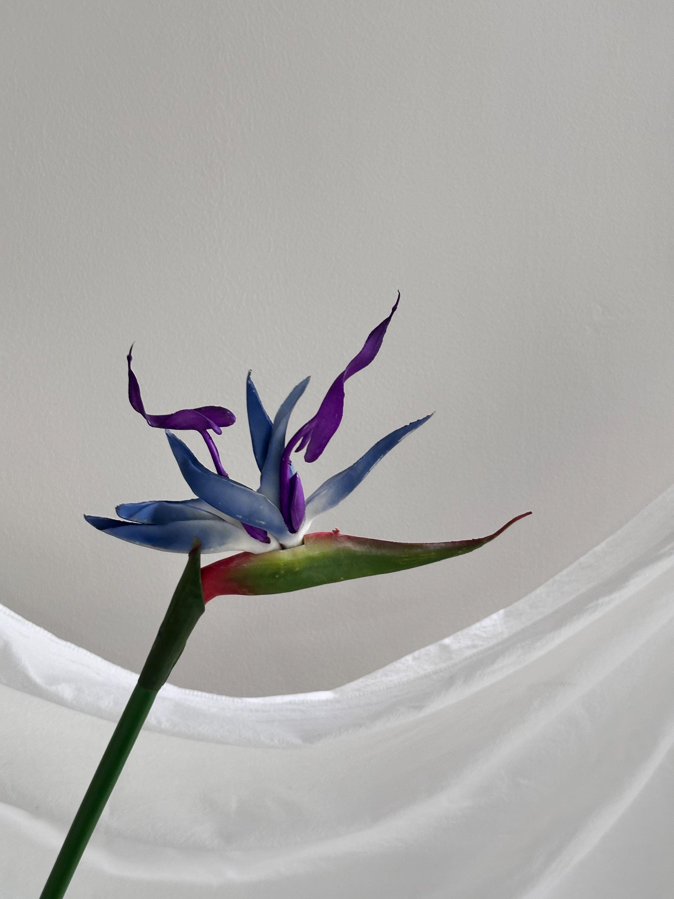 Artificial Bird of Paradise Stem