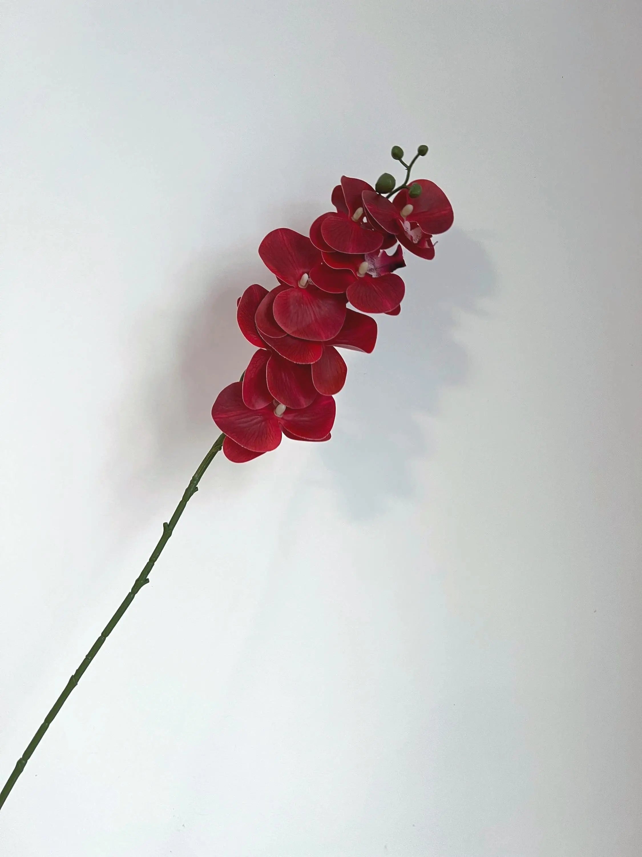 White Faux Orchid Spray, Artificial Orchid Celesta Atelier