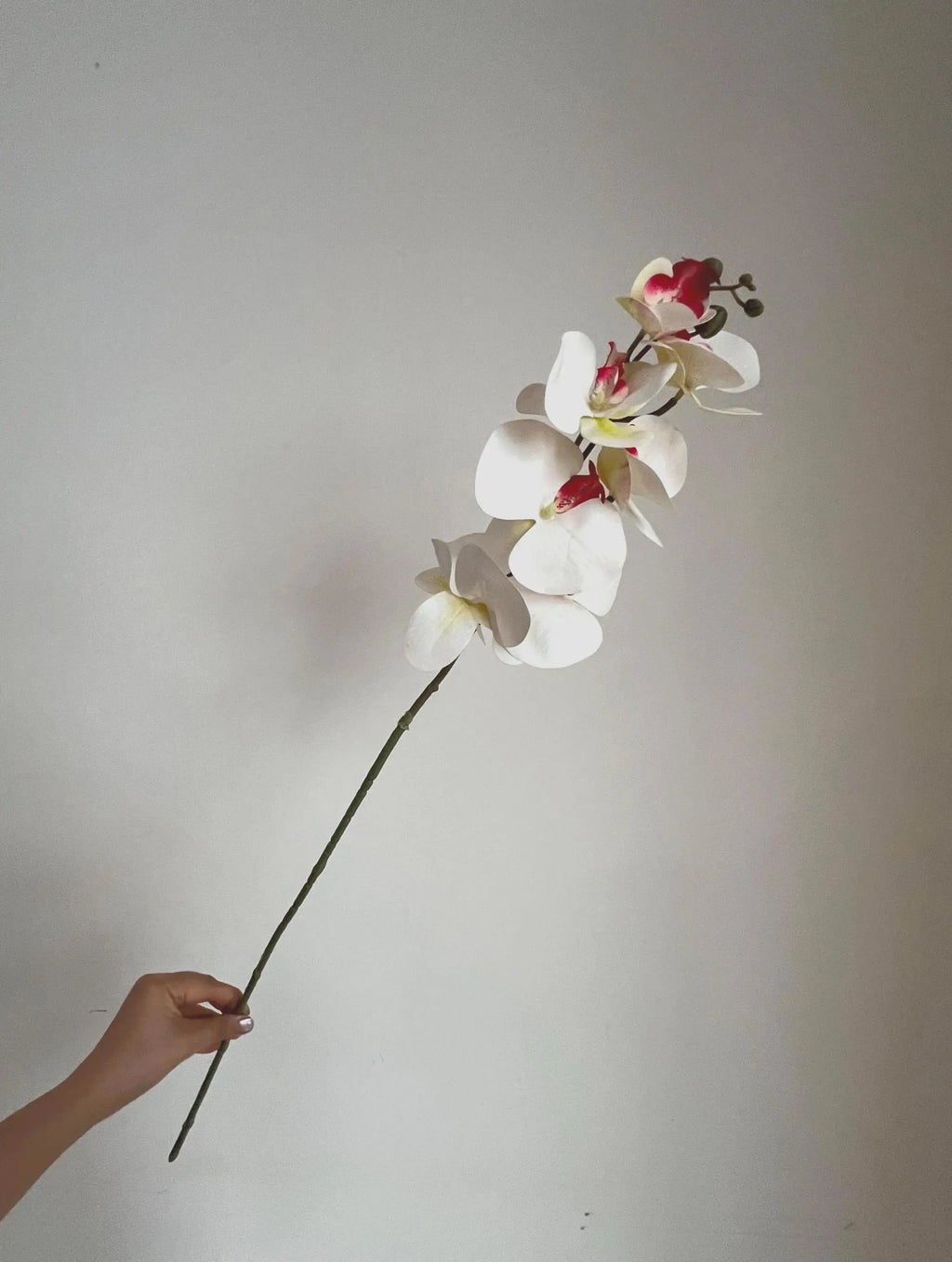 White Faux Orchid Spray, Artificial Orchid Celesta Atelier