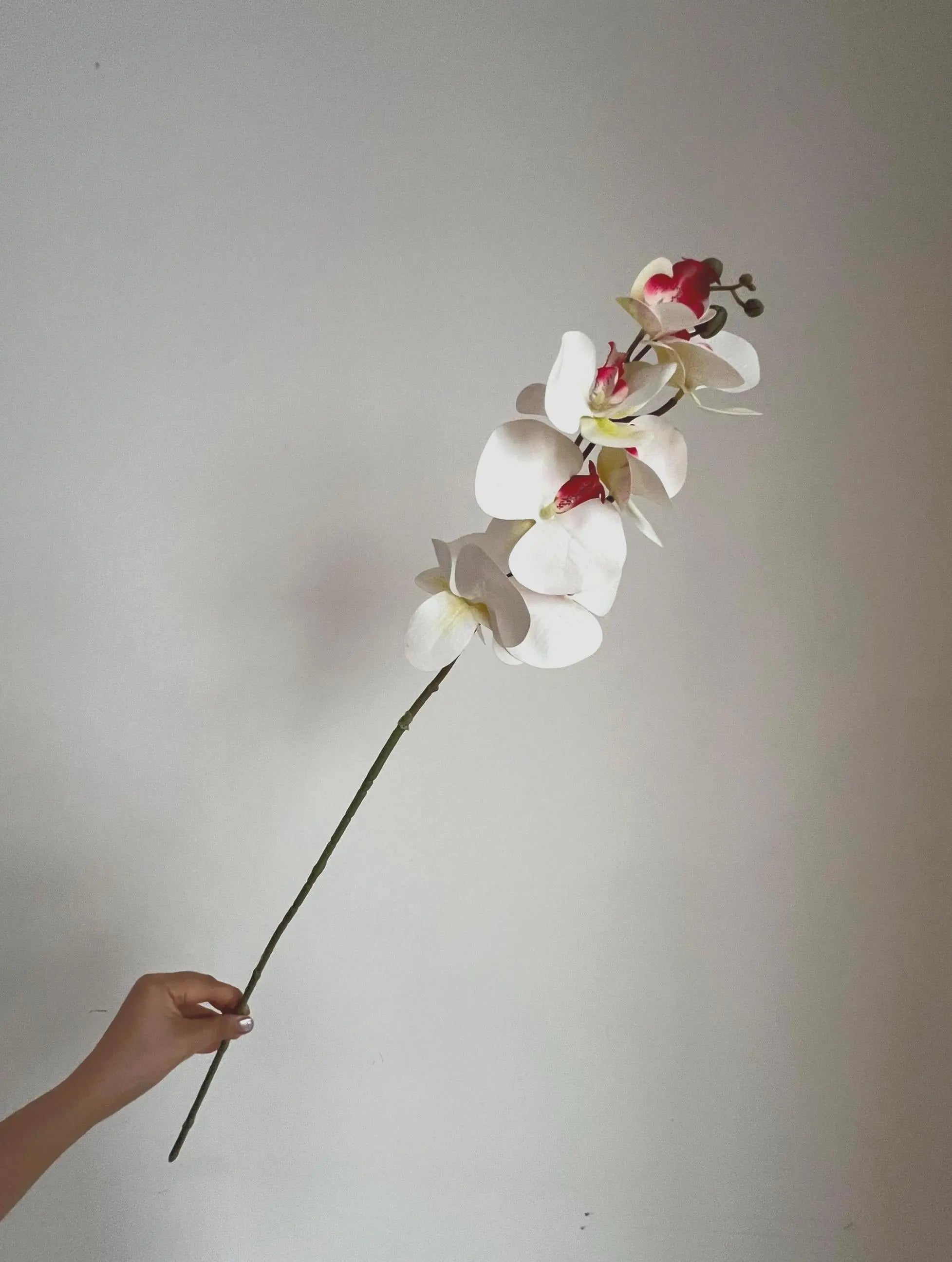 White Faux Orchid Spray, Artificial Orchid Celesta Atelier