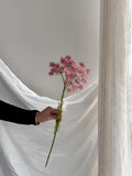 Artificial Queen Annes Lace Stem Faux Flower Place