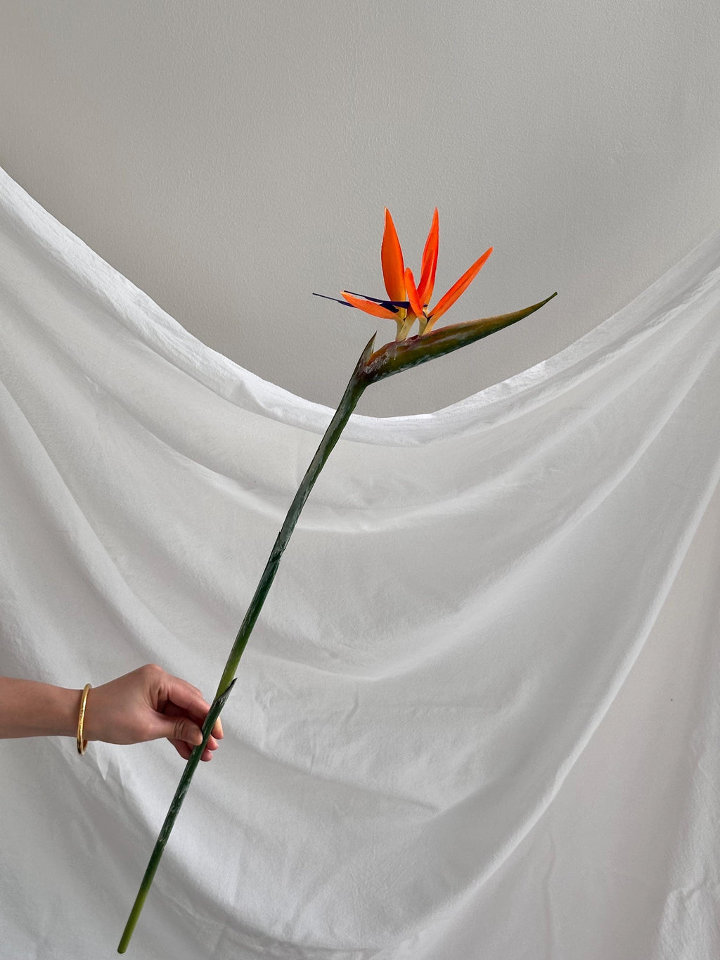 Artificial Bird of Paradise Stem
