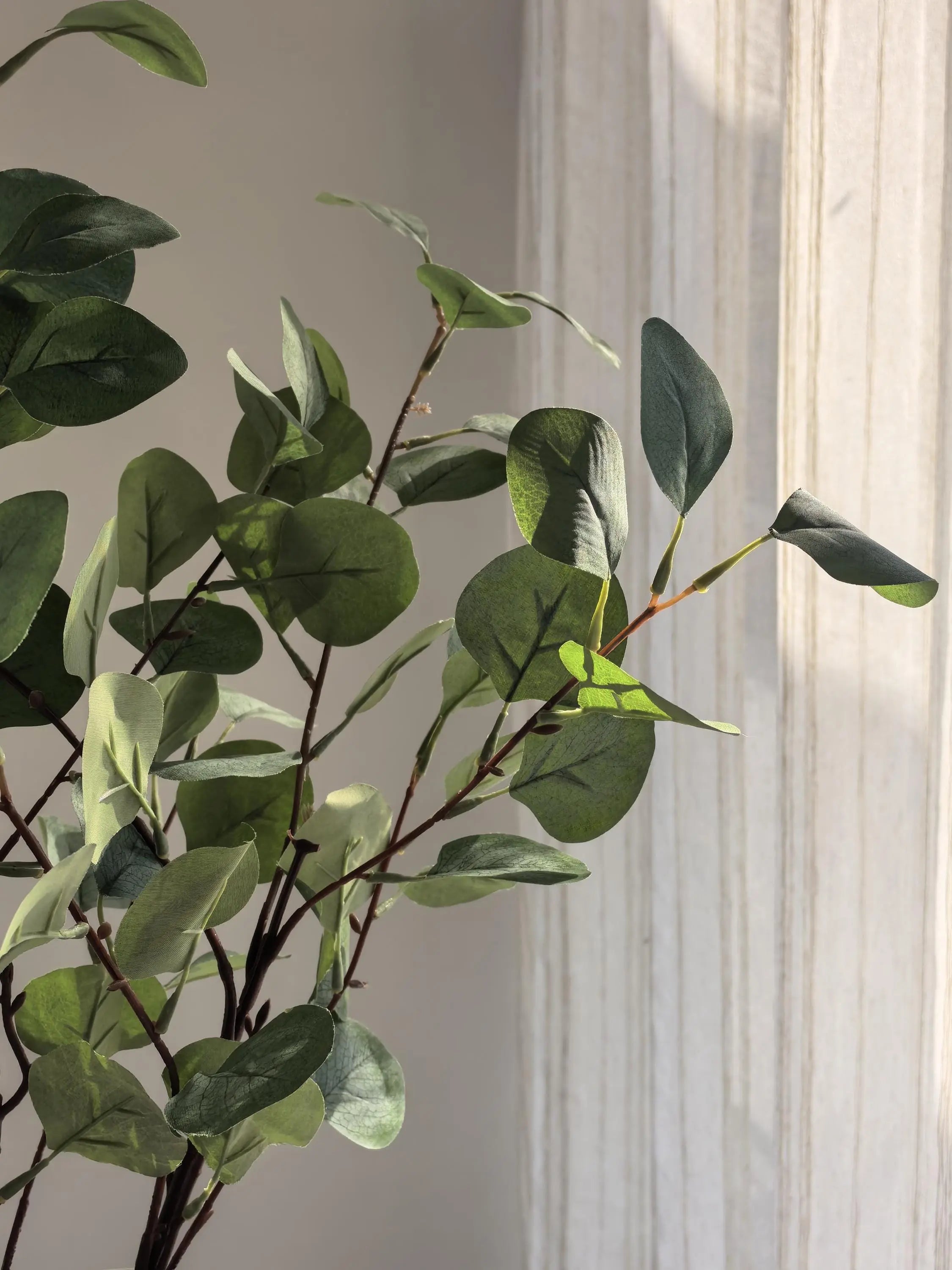 Real touch eucalyptus Branch Celesta Atelier