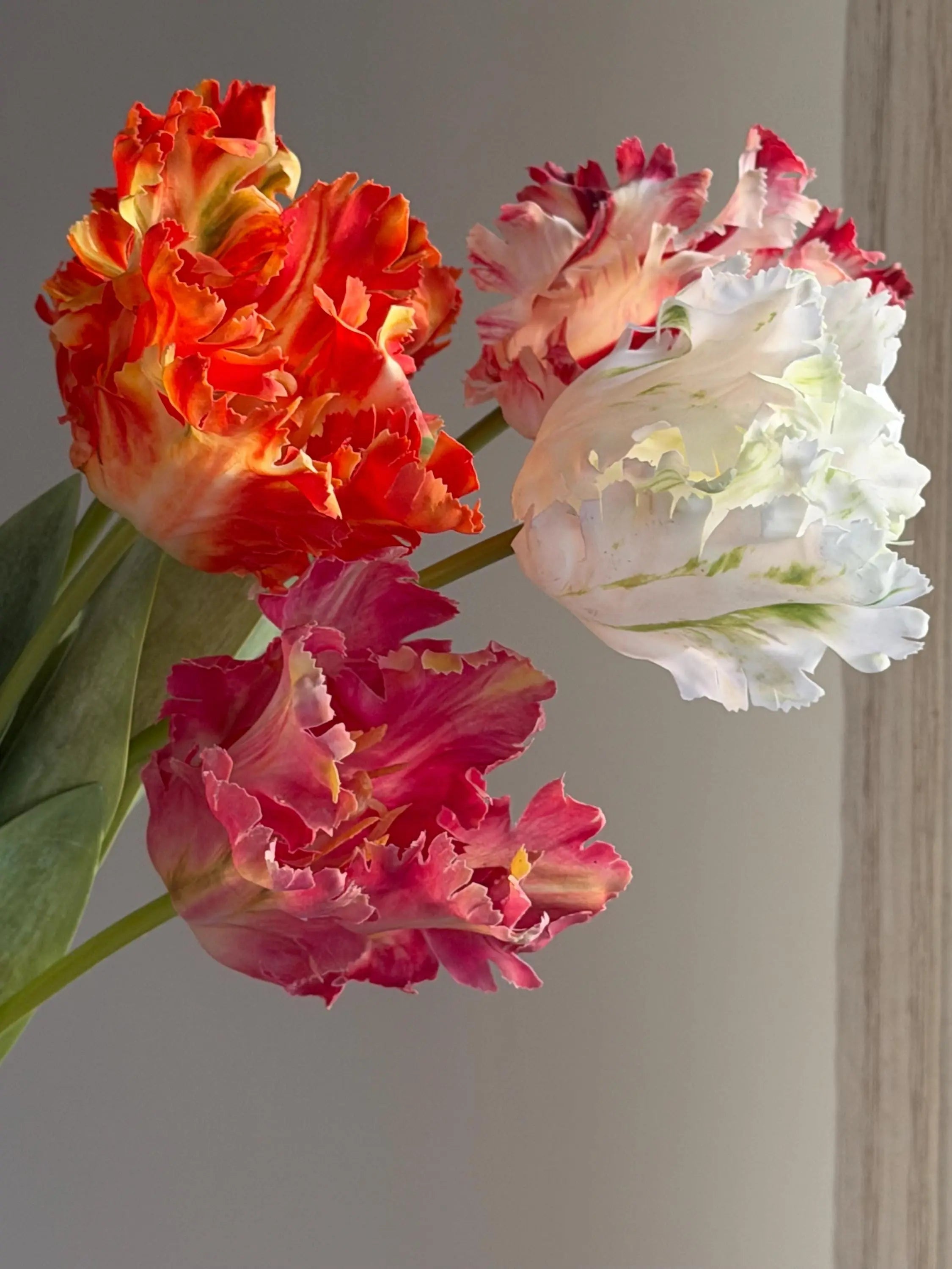 Real Touch parrot tulips, artificial tulips Celesta Atelier