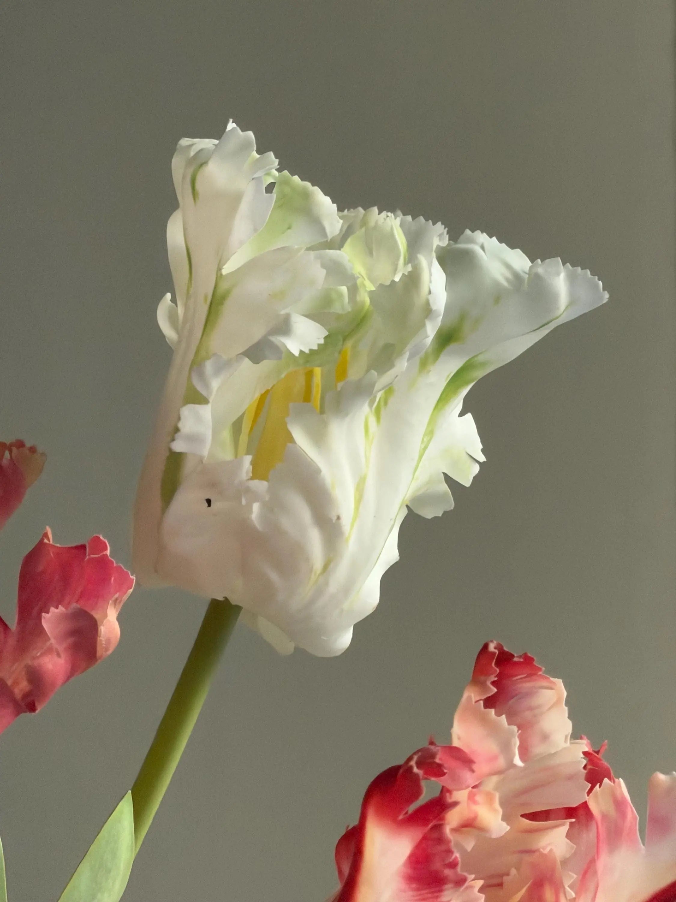 Real Touch parrot tulips, artificial tulips Celesta Atelier