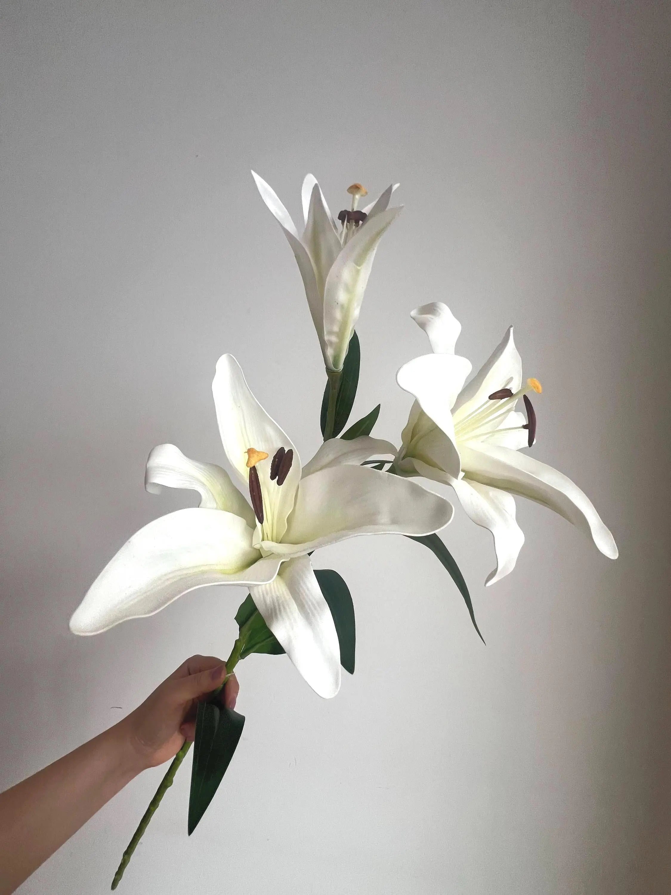 Real Touch Moisturizing Lily Celesta Atelier