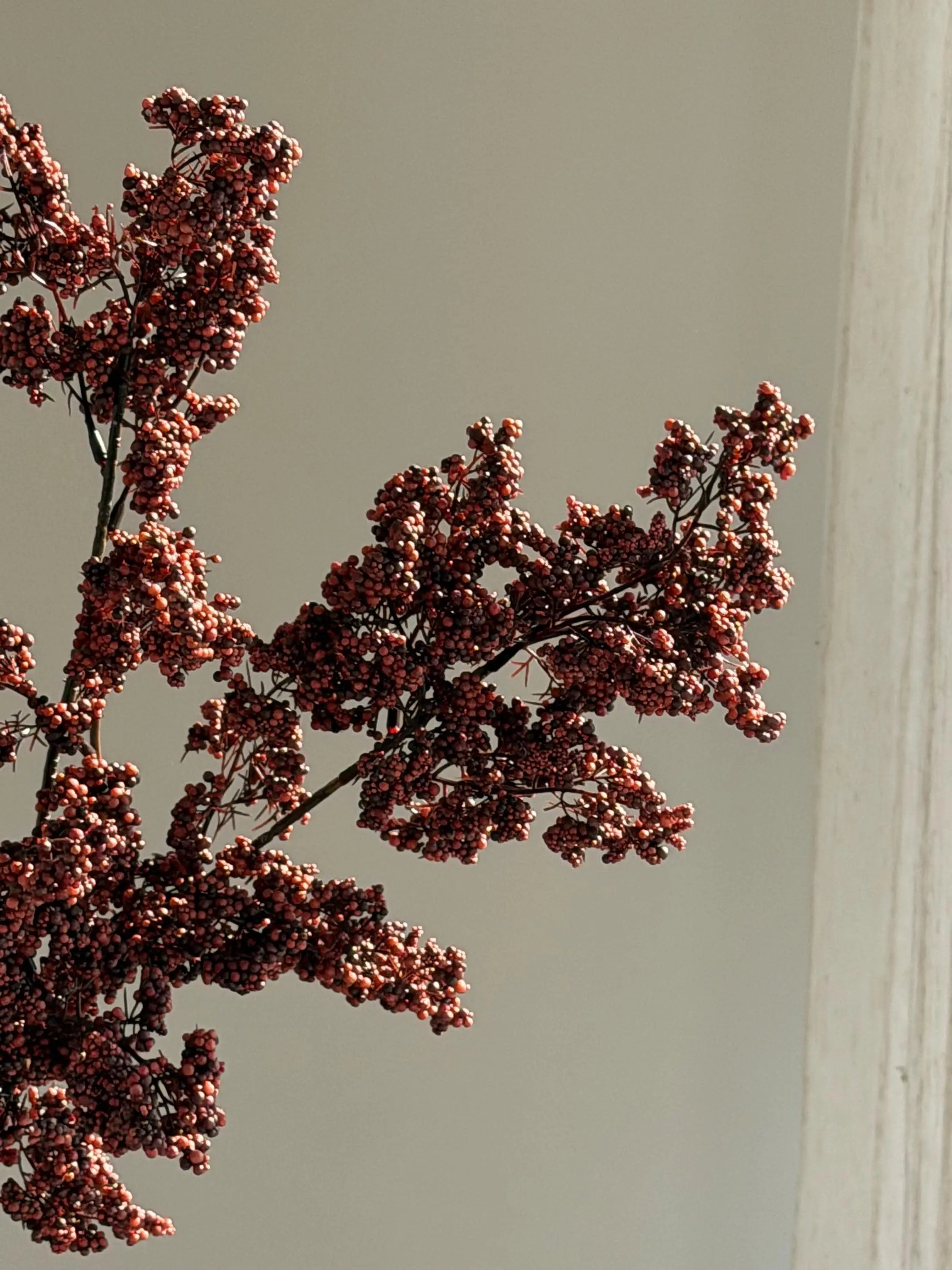 Long Stems Berries, Dusty Plum Berry Stems Celesta Atelier