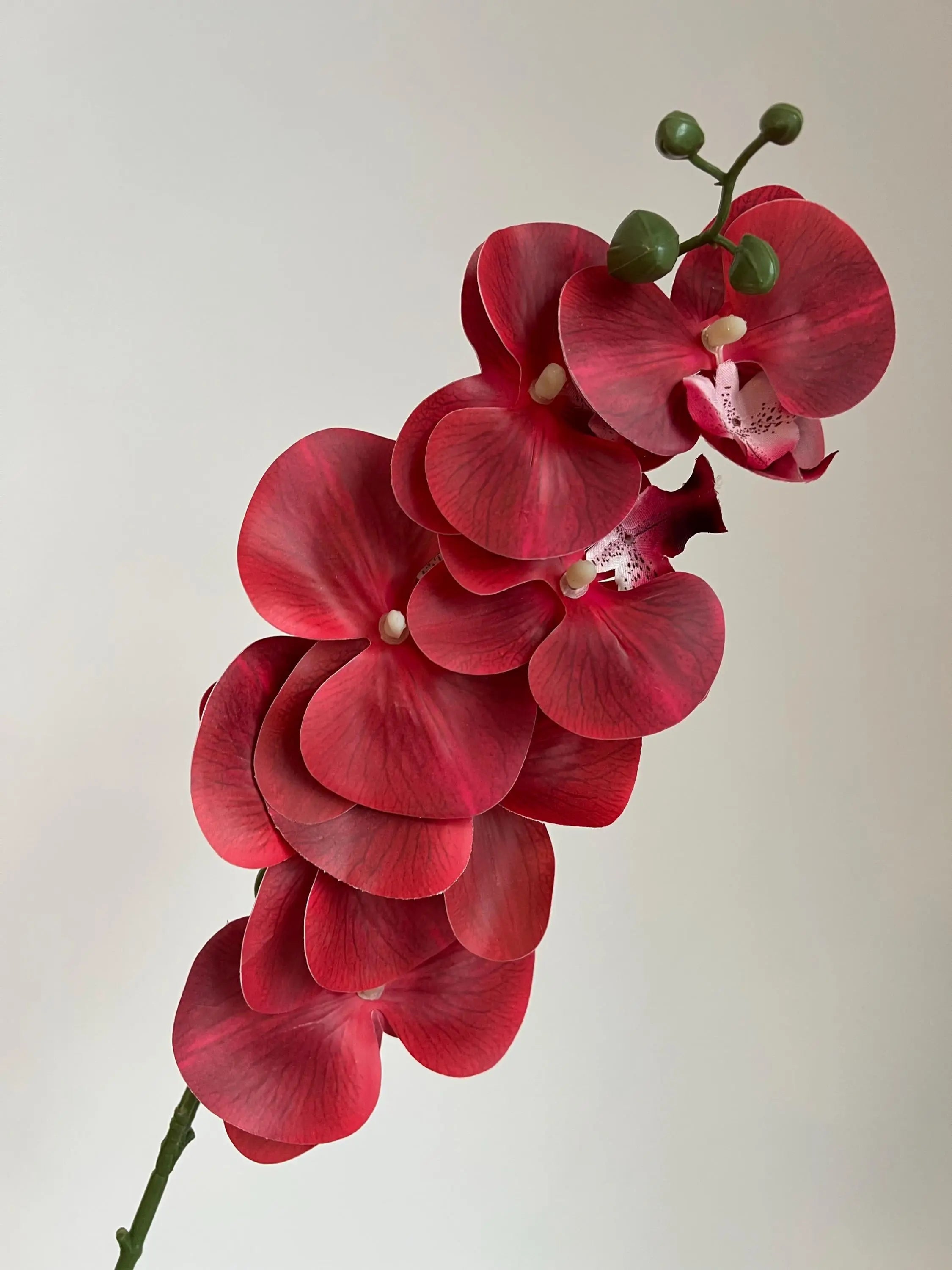 White Faux Orchid Spray, Artificial Orchid Celesta Atelier