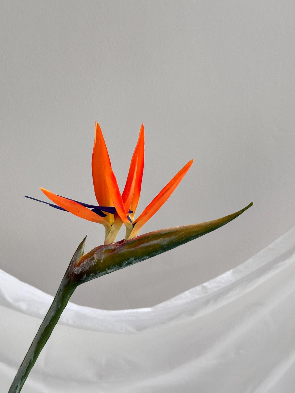 Artificial Bird of Paradise Stem