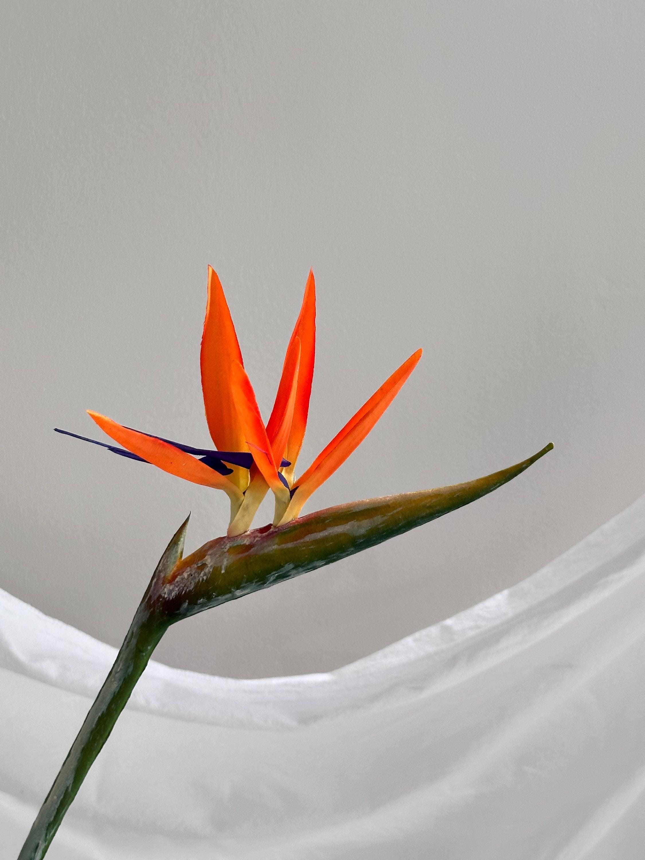 Artificial Bird of Paradise Stem