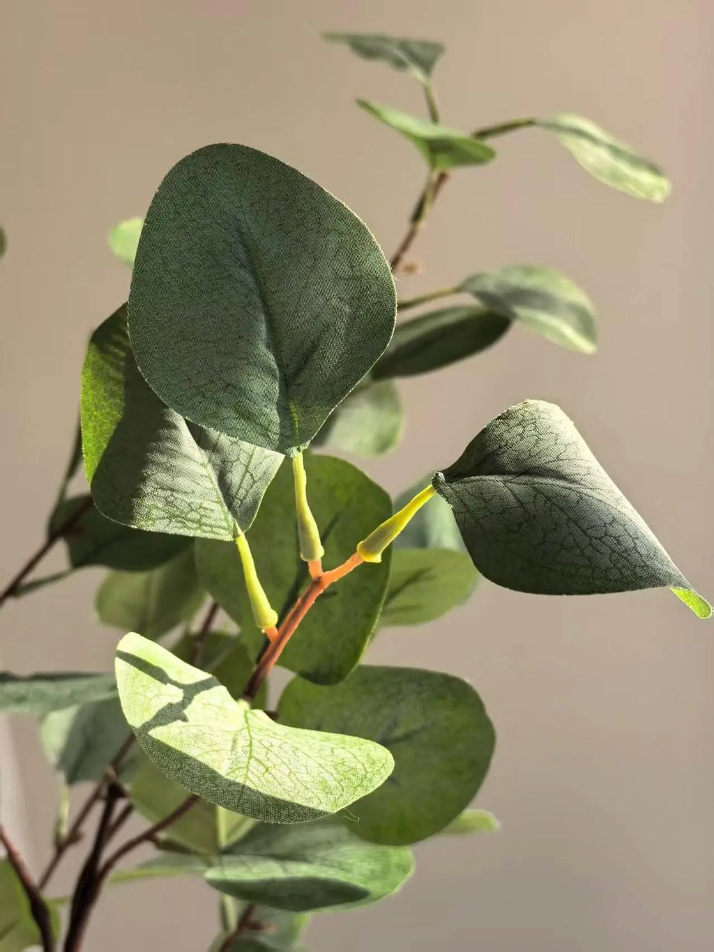 Real touch eucalyptus Branch Celesta Atelier