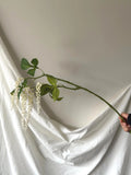 Artificial Hanging Amaranthus Stem Faux Flower Place