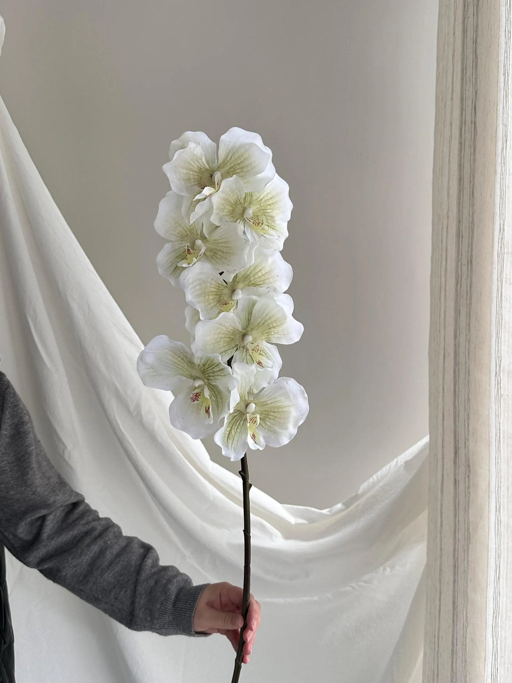 Artificial Psychedelic Phalaenopsis Orchid Faux Flower Place