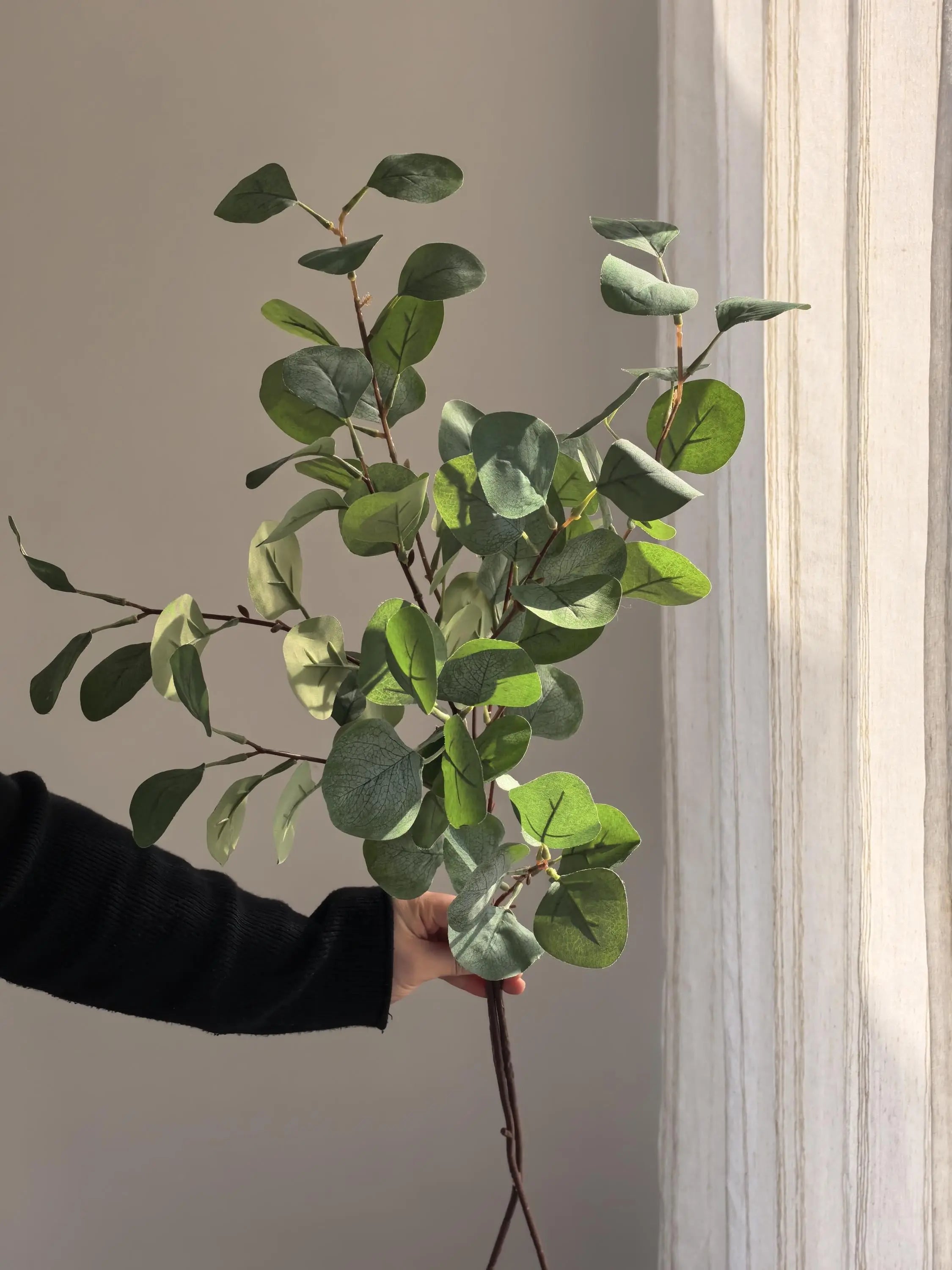 Real touch eucalyptus Branch Celesta Atelier