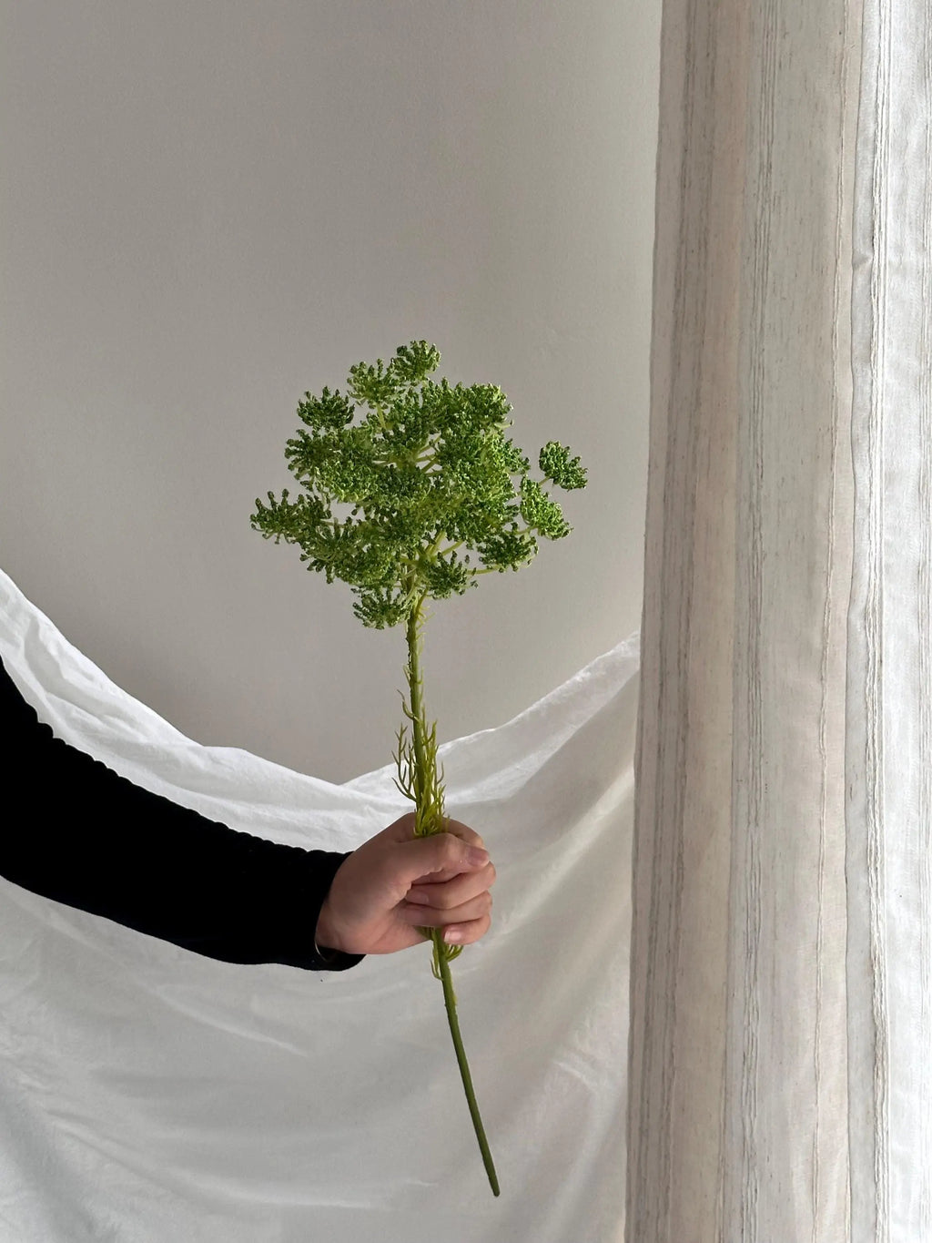 Artificial Queen Annes Lace Stem Faux Flower Place