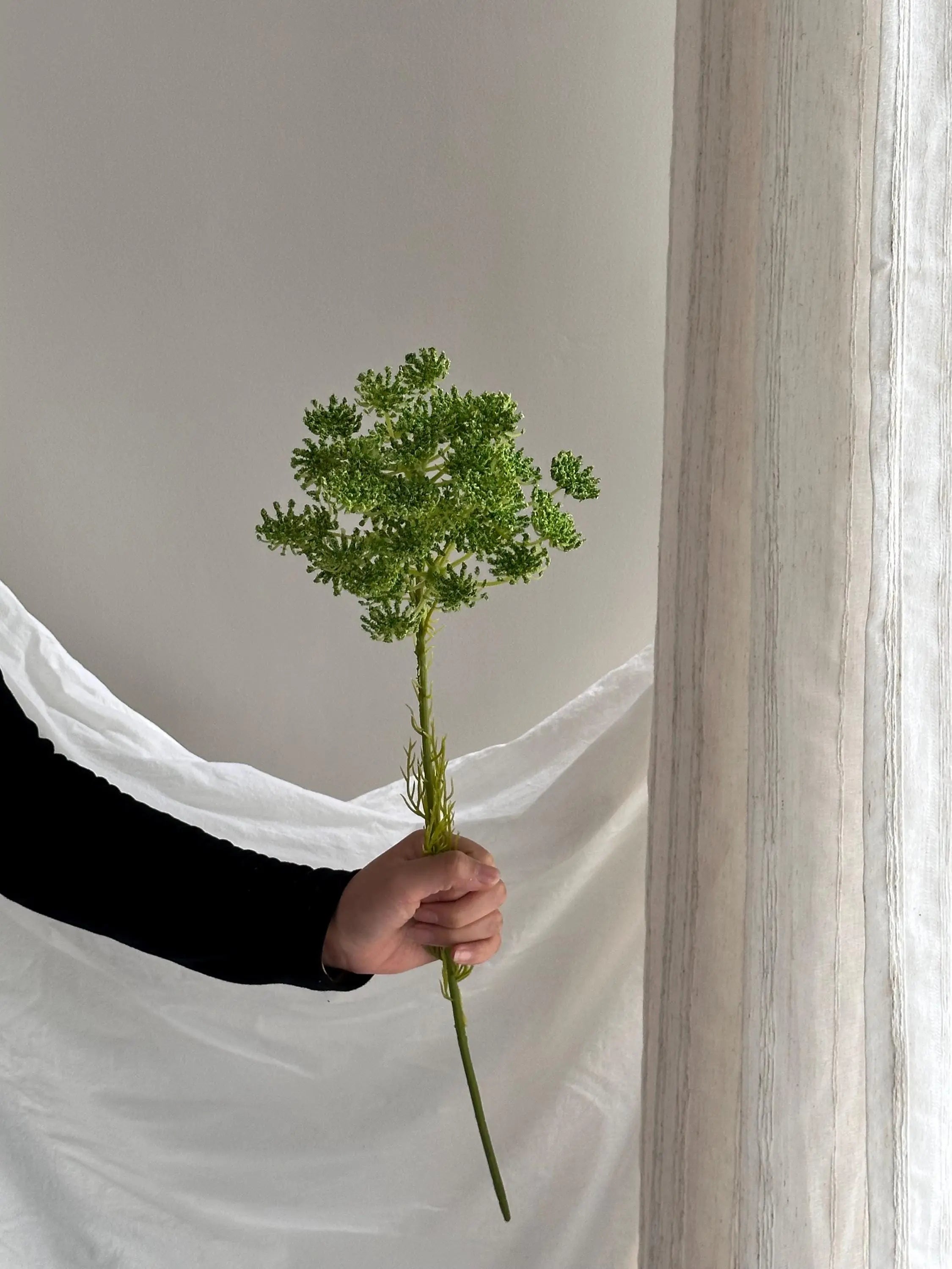 Artificial Queen Annes Lace Stem Faux Flower Place