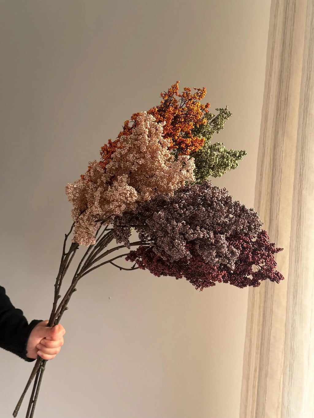 Long Stems Plum Berries, Dusty Berry Stems Celesta Atelier