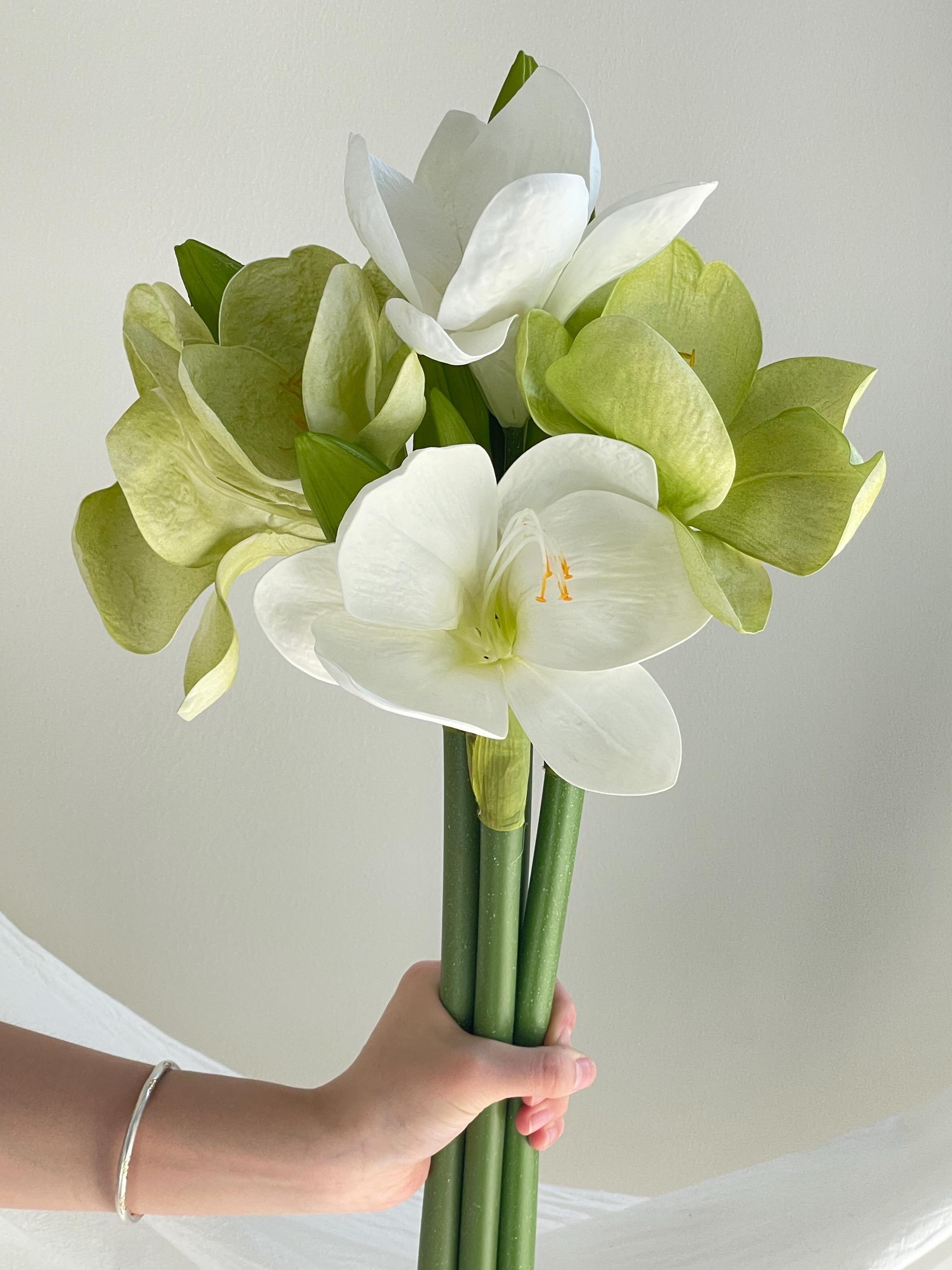 Artificial Clivia Miniata Bush Lily
