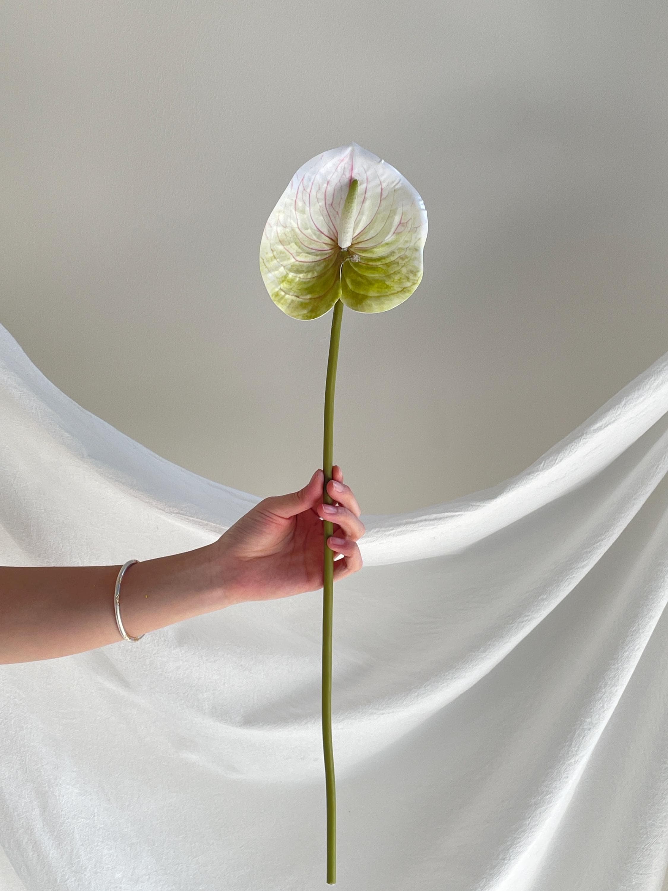 Artificial Anthurium Stems