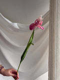 Pink Artificial Iris Flowers Faux Flower Place