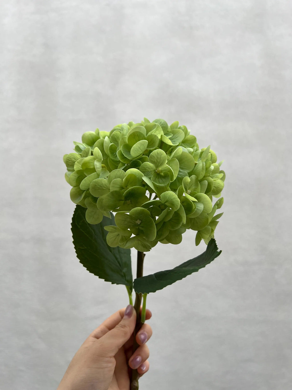 Faux Hydrangea Flower Celesta Atelier