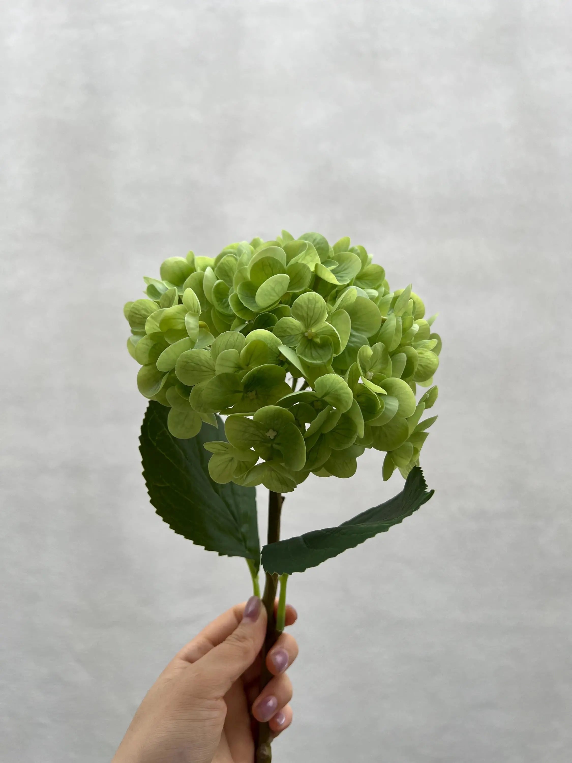 Faux Hydrangea Flower Celesta Atelier