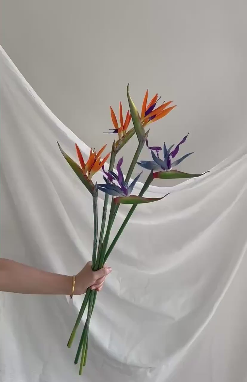 Artificial Bird of Paradise Stem